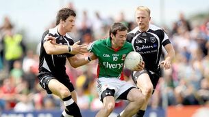 Holders Mayo dig in to get job done