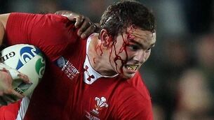 Welsh get back on feet in Paris 