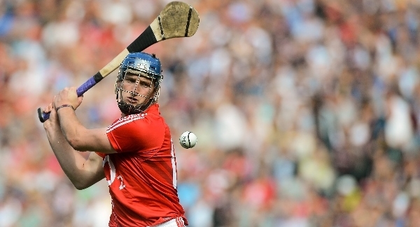 Horgan says it’s too early to pass judgement
