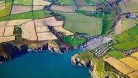 Sea views come free with Robert’s Cove farm land 