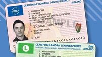 Extra staff at driving licence centres following ‘teething problems’  