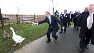 The Dáil's year in review: Tears, apologies, gaffes and cuts