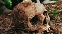 15 human skulls found on a street in Prague 