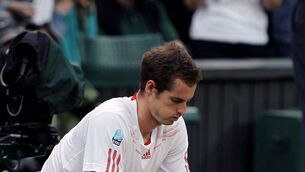 Murray finds way back from the brink