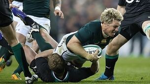 Boks to bid for 2023 World Cup