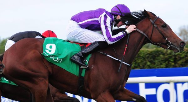 O’Brien sets new Irish flat record
