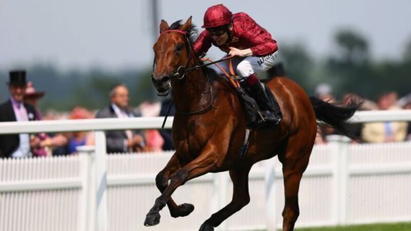 Kiyoshi primed for Moyglare battle Kiyoshi primed for Moyglare battle
