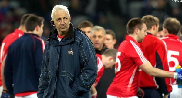 Rebels to begin hunt for Counihan successor