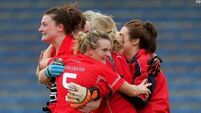 Hurling final fillip for Cork ladies 