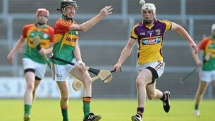 Carlow boss Meyler ‘shattered’ as Wexford get out of jail