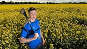 There’s a big game in Limerick, but it’s still Tipp