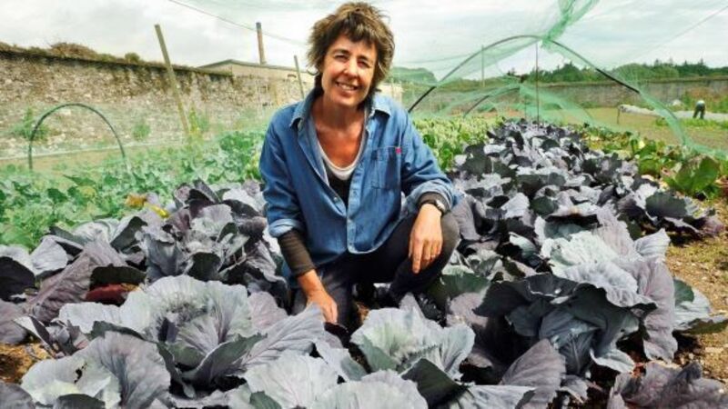Ballymaloe Garden Festival promises an autumnal treat Ballymaloe Garden Festival promises an autumnal treat