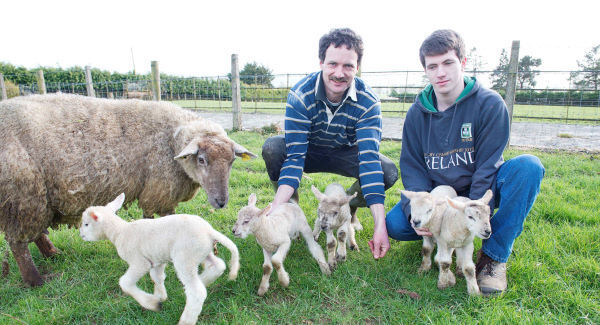 Can ewe believe it? Farmer welcomes five new additions with spring in his step