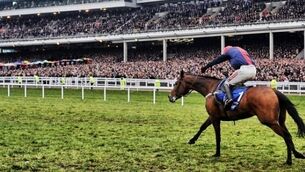 Cheltenham Festival Live Blog: Gold Cup Day