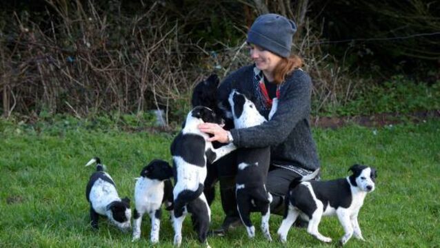 Giving sanctuary and rehabilitating   animals left out in the cold