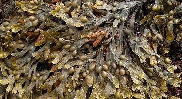 Healthy soil vital to crop growing