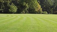 Time for lawn work