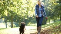 Why dogs are a single parent’s best friend 