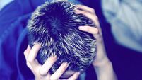 Mental health report: When will we learn?