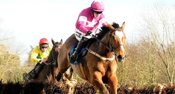 Don Poli appreciates step up in trip