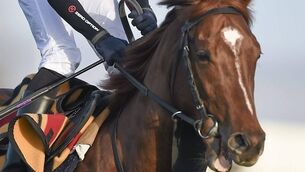 Australia&rsquo;s 2000 Guineas performance was a  trifle deflating