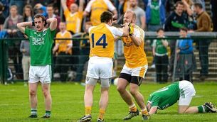 Leaky Saffrons hang on