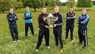 Leinster dead? Not a hope
