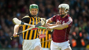 Young bloods and old heads get Kilkenny up to speed