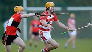 CIT show amazing resilience