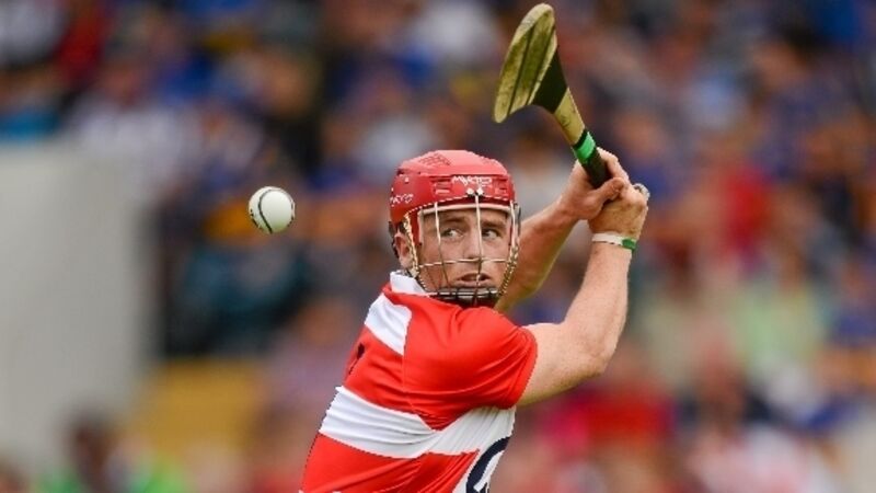 Tipp set to stand behind Rebels Tipp set to stand behind Rebels