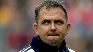 Davy Fitzgerald: Seeing the bigger picture