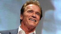 New movie role for Schwarzenegger
