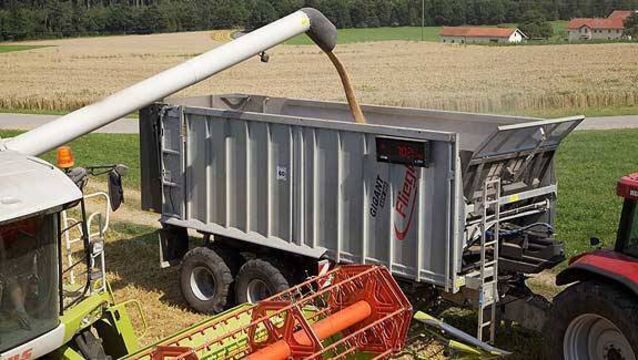 New Ukrainian grain contracts on hold over crisis in Crimea 
