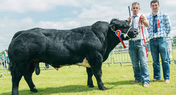 Prolonged warm spell not good news for all farms