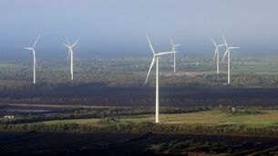 Judge quashes permission for Cork wind farm