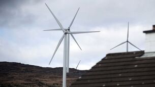 Risk to sea eagle cited in rejection of turbines plan