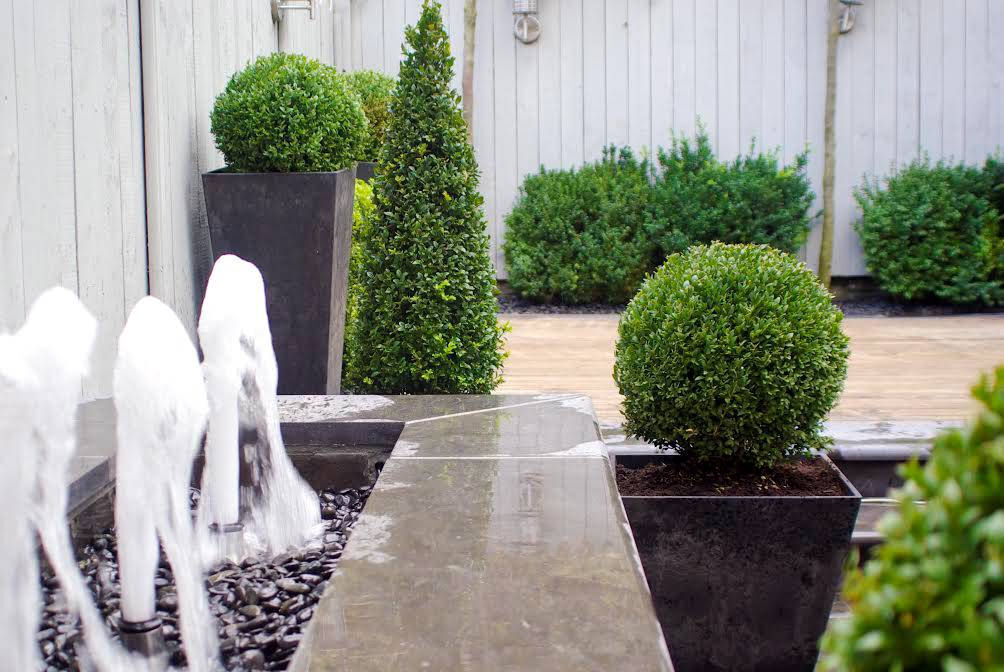 Ask The Gardener
