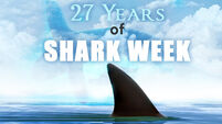 Shark Week 2014 infographic: 10 things you need to know about sharks