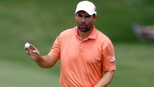 Harrington views Gleneagles role as test of future captaincy credentials