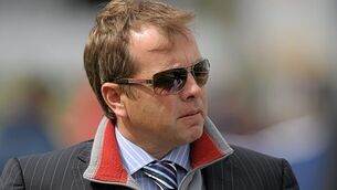 Cape Wolfe will relish longer trip