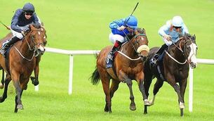 Kool Kompany puts Coventry disappointment behind him with Railway romp