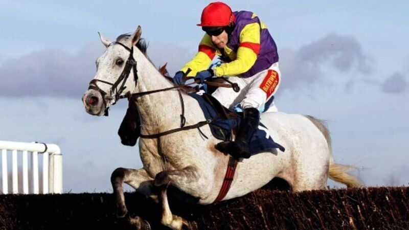 Top staying hurdler Grands Crus retired