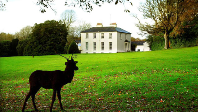 Dundaniel House Innishannon has Georgain grace, and growing grapefruits