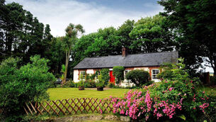 Small and cute like a mouse