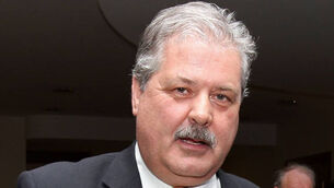 Ryan slams &lsquo;crazy&rsquo; Páirc stewarding 