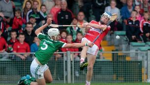 Limerick survive late scare