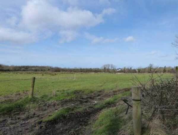 A view of the 104.5-acre farm for sale at Dromerin, Listowel A view of the 104.5-acre farm for sale at Dromerin, Listowel