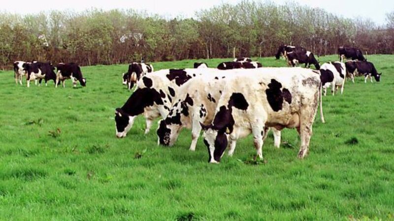 Big surge in reseeding is expected Big surge in reseeding is expected
