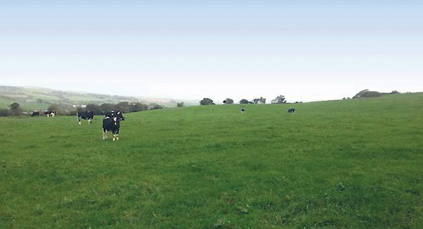 Bidders instantly offer asking price for West Cork farm