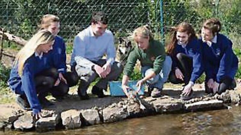 VIDEO: Duck gets cold feet when it comes to learning to swim VIDEO: Duck gets cold feet when it comes to learning to swim